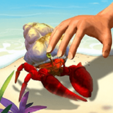 赶海日记